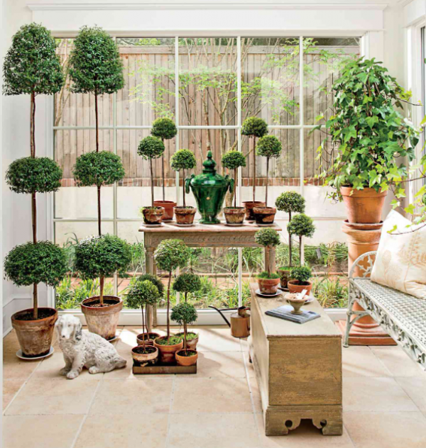 Topiari Berbentuk Tanaman di Tengah Meja